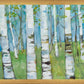 Spring Aspens
