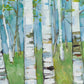 Spring Aspens