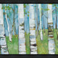 Spring Aspens