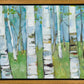 Spring Aspens