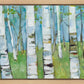 Spring Aspens