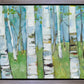 Spring Aspens