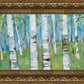 Spring Aspens