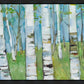 Spring Aspens