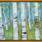 Spring Aspens
