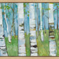 Spring Aspens