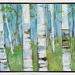 Spring Aspens