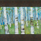 Spring Aspens