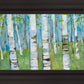 Spring Aspens