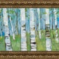 Spring Aspens