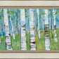 Spring Aspens