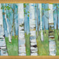 Spring Aspens
