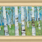 Spring Aspens