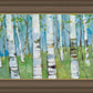 Spring Aspens