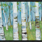 Spring Aspens