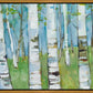 Spring Aspens