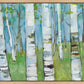 Spring Aspens