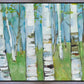 Spring Aspens
