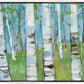 Spring Aspens