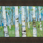 Spring Aspens