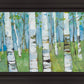 Spring Aspens