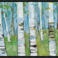 Spring Aspens
