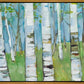 Spring Aspens