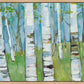 Spring Aspens