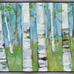 Spring Aspens