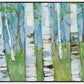 Spring Aspens