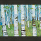 Spring Aspens