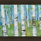 Spring Aspens
