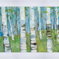 Spring Aspens