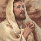 I Have Prayed For Thee