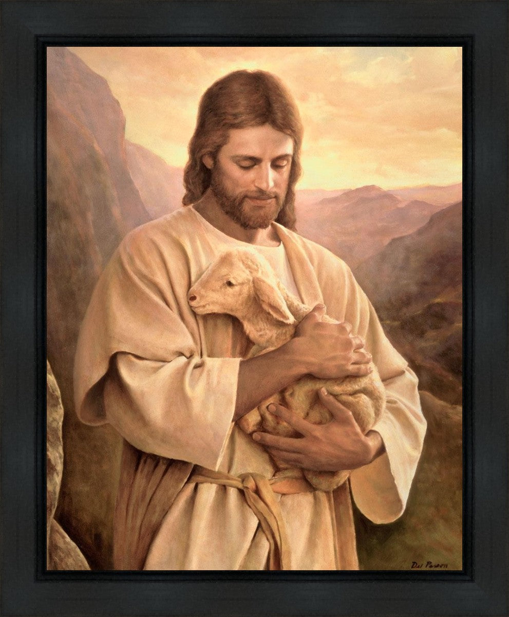 Lost Lamb