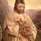 Lost Lamb