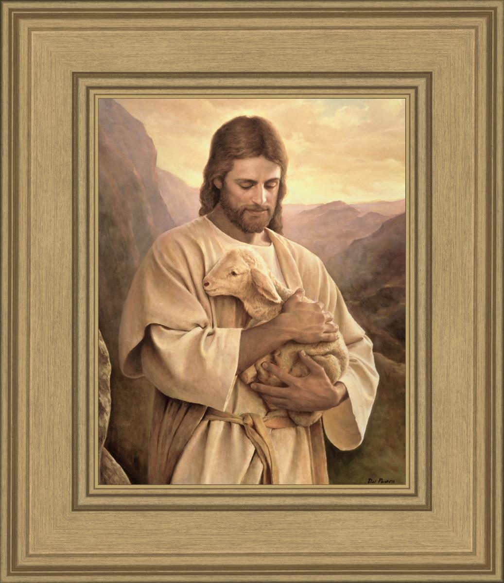 Lost Lamb