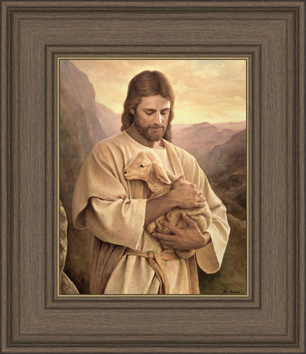 Lost Lamb