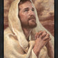 I Have Prayed For Thee