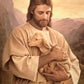 Lost Lamb