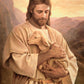 Lost Lamb