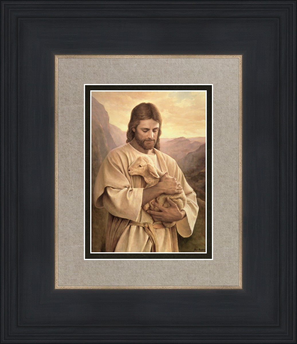 Lost Lamb