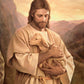 Lost Lamb