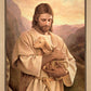 Lost Lamb