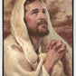 I Have Prayed For Thee