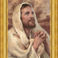 I Have Prayed For Thee