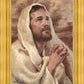 I Have Prayed For Thee