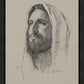 Lamb of God