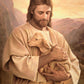 Lost Lamb