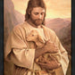 Lost Lamb